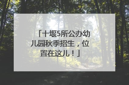 十堰5所公办幼儿园秋季招生，位置在这儿！