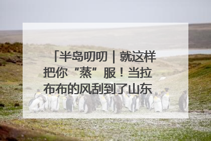 半岛叨叨｜就这样把你“蒸”服！当拉布布的风刮到了山东馒头界……