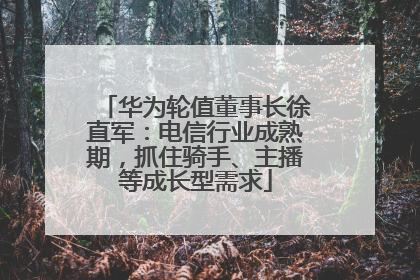 华为轮值董事长徐直军：电信行业成熟期，抓住骑手、主播等成长型需求