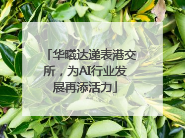 华曦达递表港交所，为AI行业发展再添活力