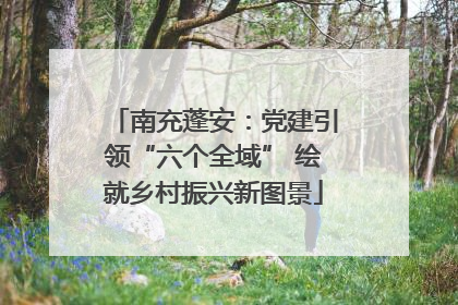 南充蓬安：党建引领“六个全域” 绘就乡村振兴新图景