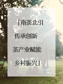 南茶北引传承创新 茶产业赋能乡村振兴