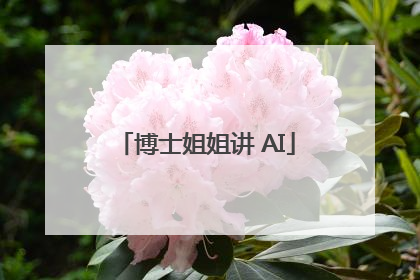 博士姐姐讲 AI