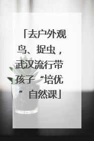 去户外观鸟、捉虫，武汉流行带孩子“培优”自然课