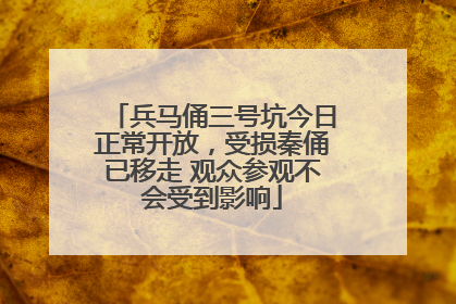 兵马俑三号坑今日正常开放，受损秦俑已移走 观众参观不会受到影响