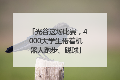 光谷这场比赛，4000大学生带着机器人跑步、踢球