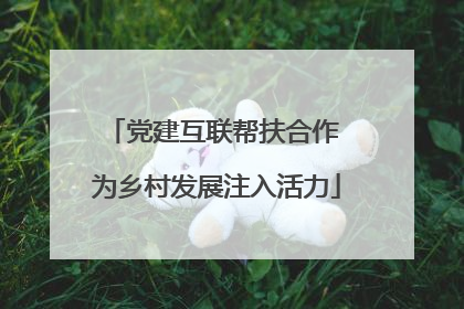 党建互联帮扶合作 为乡村发展注入活力