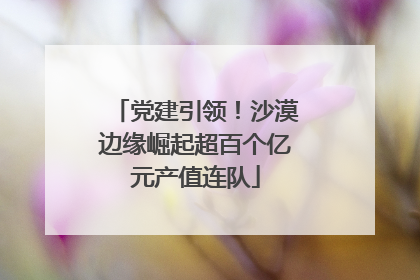 党建引领！沙漠边缘崛起超百个亿元产值连队