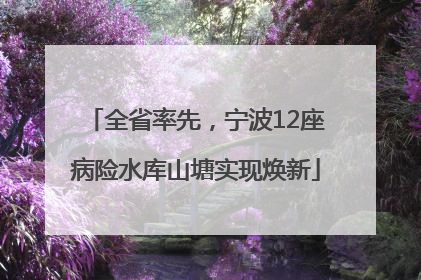 全省率先，宁波12座病险水库山塘实现焕新
