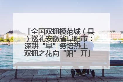 全国双拥模范城（县）巡礼安徽省阜阳市：深耕“阜”务培热土 双拥之花向“阳”开