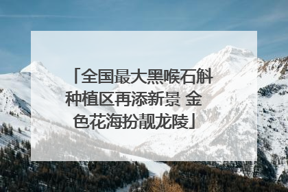 全国最大黑喉石斛种植区再添新景 金色花海扮靓龙陵