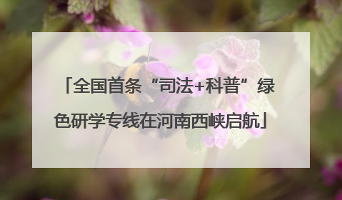 全国首条“司法+科普”绿色研学专线在河南西峡启航