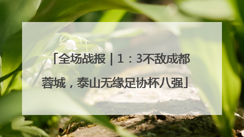 全场战报｜1：3不敌成都蓉城，泰山无缘足协杯八强
