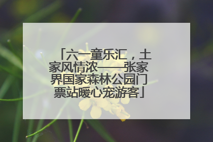 六一童乐汇，土家风情浓——张家界国家森林公园门票站暖心宠游客