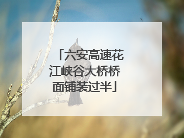 六安高速花江峡谷大桥桥面铺装过半