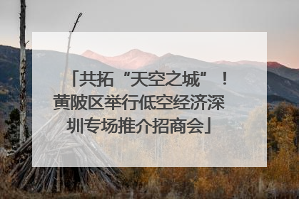 共拓“天空之城”！黄陂区举行低空经济深圳专场推介招商会
