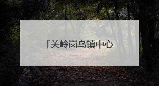 关岭岗乌镇中心村：“两清两改两治理”绘就美丽乡村新画卷