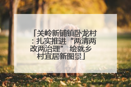 关岭新铺镇卧龙村：扎实推进“两清两改两治理” 绘就乡村宜居新图景