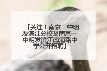 关注！南京一中明发滨江分校及南京一中明发滨江南浦路中学公开招聘