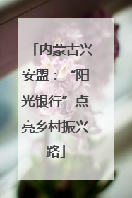 内蒙古兴安盟：“阳光银行”点亮乡村振兴路
