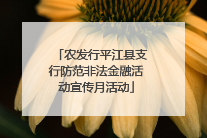 农发行平江县支行防范非法金融活动宣传月活动