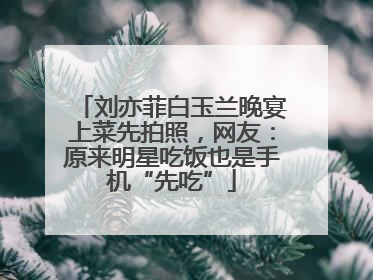 刘亦菲白玉兰晚宴上菜先拍照，网友：原来明星吃饭也是手机“先吃”