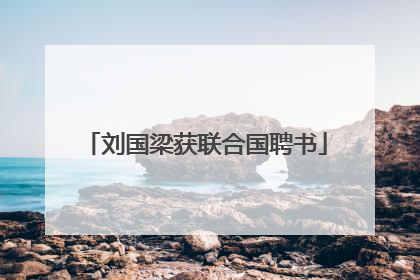 刘国梁获联合国聘书
