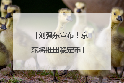 刘强东宣布！京东将推出稳定币