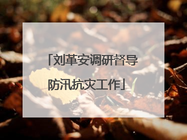 刘革安调研督导防汛抗灾工作