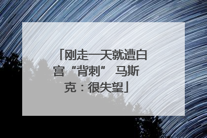 刚走一天就遭白宫“背刺” 马斯克：很失望