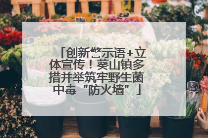 创新警示语+立体宣传！葵山镇多措并举筑牢野生菌中毒“防火墙”