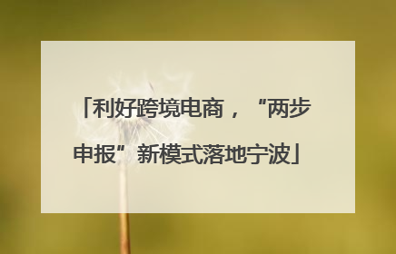 利好跨境电商，“两步申报”新模式落地宁波