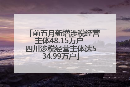 前五月新增涉税经营主体48.15万户 四川涉税经营主体达534.99万户