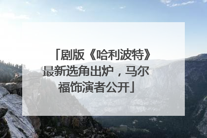 剧版《哈利波特》最新选角出炉，马尔福饰演者公开