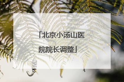 北京小汤山医院院长调整