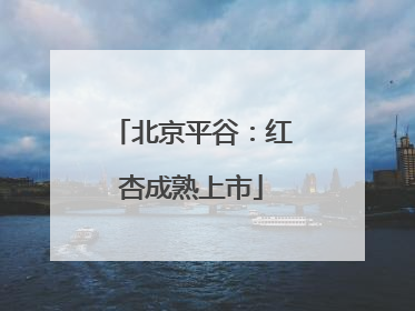 北京平谷：红杏成熟上市