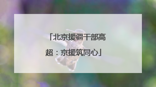 北京援疆干部高超：京援筑同心