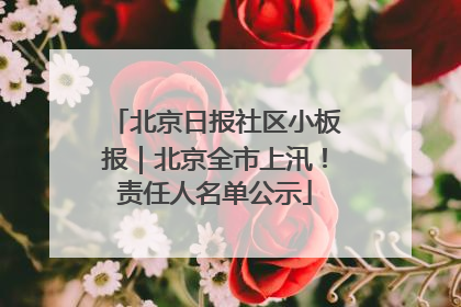 北京日报社区小板报｜北京全市上汛！责任人名单公示
