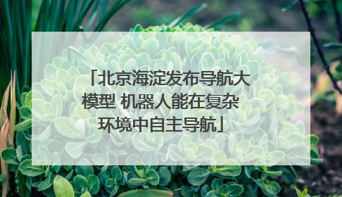 北京海淀发布导航大模型 机器人能在复杂环境中自主导航