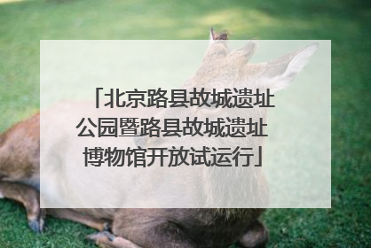 北京路县故城遗址公园暨路县故城遗址博物馆开放试运行