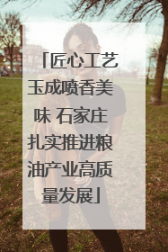 匠心工艺玉成喷香美味 石家庄扎实推进粮油产业高质量发展