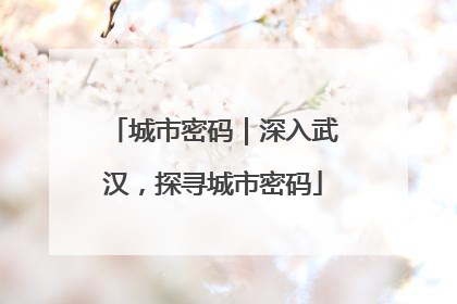 城市密码｜深入武汉，探寻城市密码