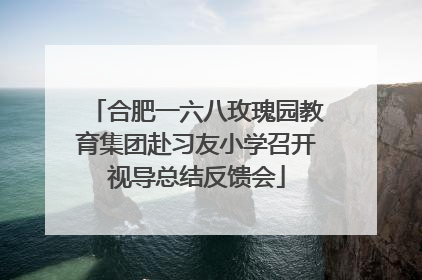 合肥一六八玫瑰园教育集团赴习友小学召开视导总结反馈会