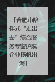合肥市陪伴式“走出去”综合服务专窗护航企业扬帆出海