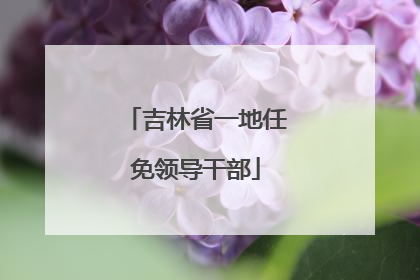 吉林省一地任免领导干部
