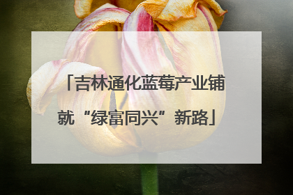 吉林通化蓝莓产业铺就“绿富同兴”新路