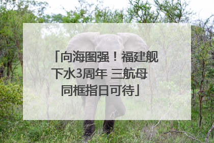 向海图强！福建舰下水3周年 三航母同框指日可待