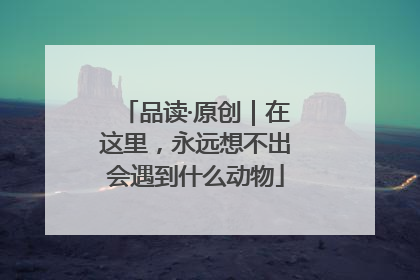 品读·原创｜在这里，永远想不出会遇到什么动物