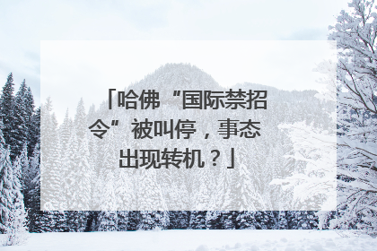 哈佛“国际禁招令”被叫停，事态出现转机？