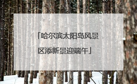 哈尔滨太阳岛风景区添新景迎端午